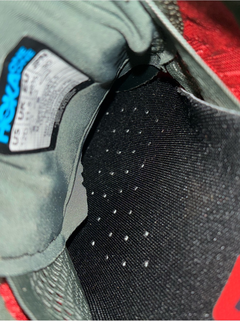 Adidas Terrex Free Hiker 2 GORE-TEX - Picture 5 of 6
